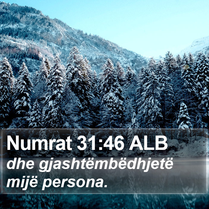 Numrat 31:46 ALB Bible Study