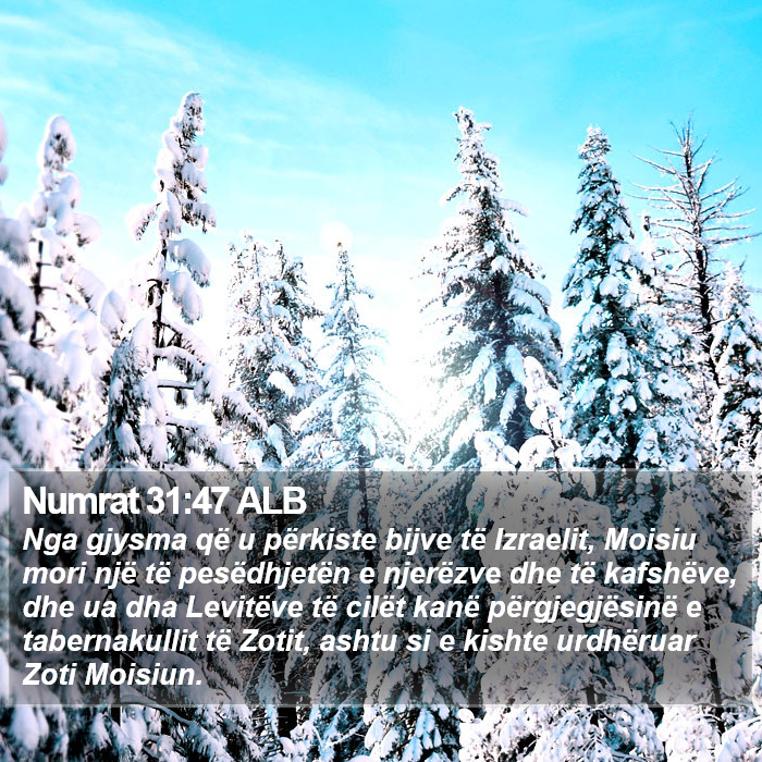 Numrat 31:47 ALB Bible Study