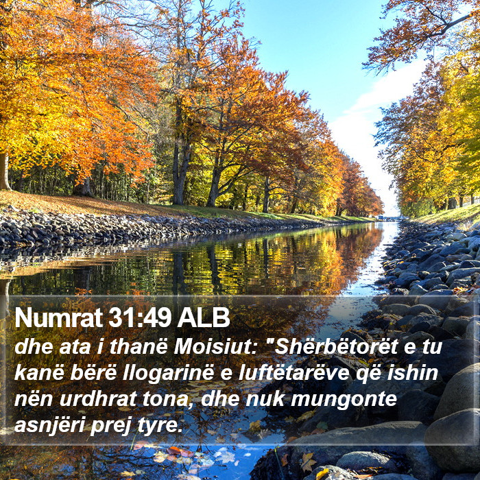 Numrat 31:49 ALB Bible Study