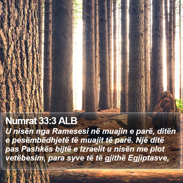 Numrat 33:3 ALB Bible Study