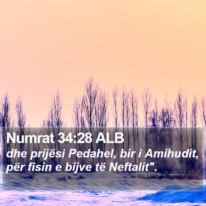 Numrat 34:28 ALB Bible Study