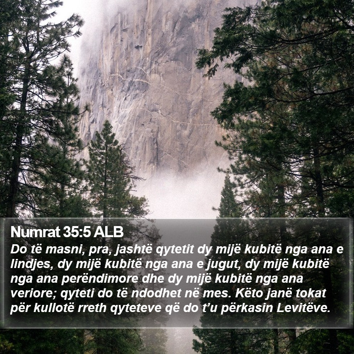 Numrat 35:5 ALB Bible Study