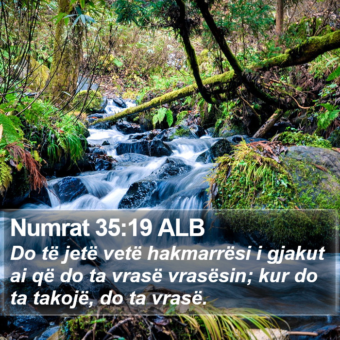 Numrat 35:19 ALB Bible Study