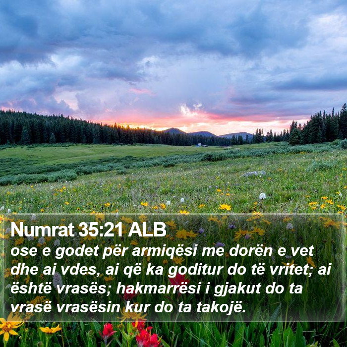 Numrat 35:21 ALB Bible Study