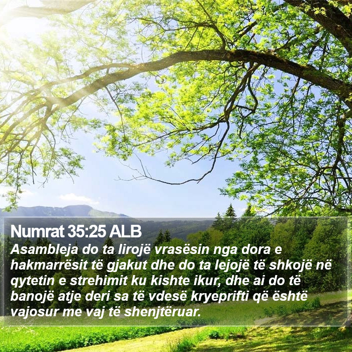 Numrat 35:25 ALB Bible Study