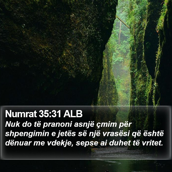 Numrat 35:31 ALB Bible Study