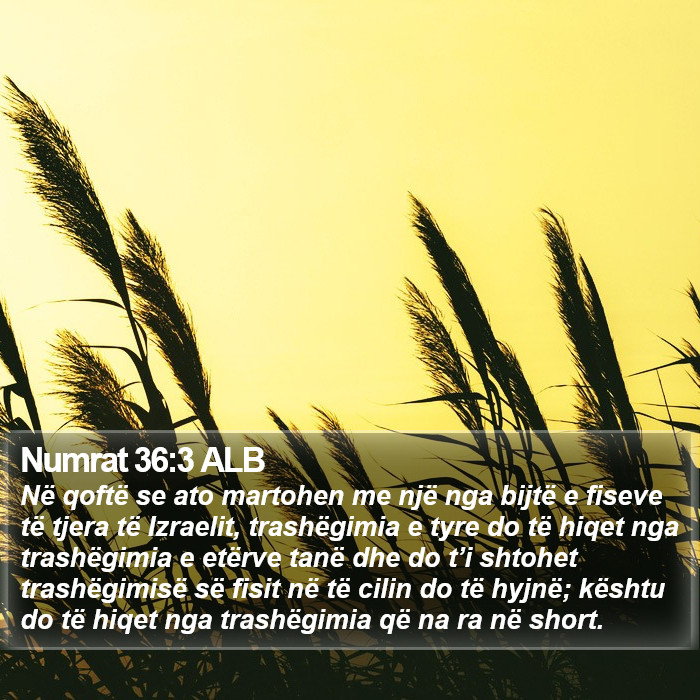 Numrat 36:3 ALB Bible Study