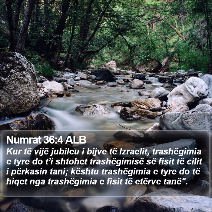 Numrat 36:4 ALB Bible Study