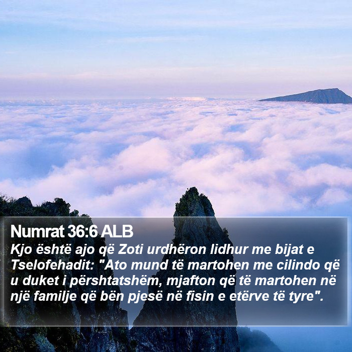 Numrat 36:6 ALB Bible Study