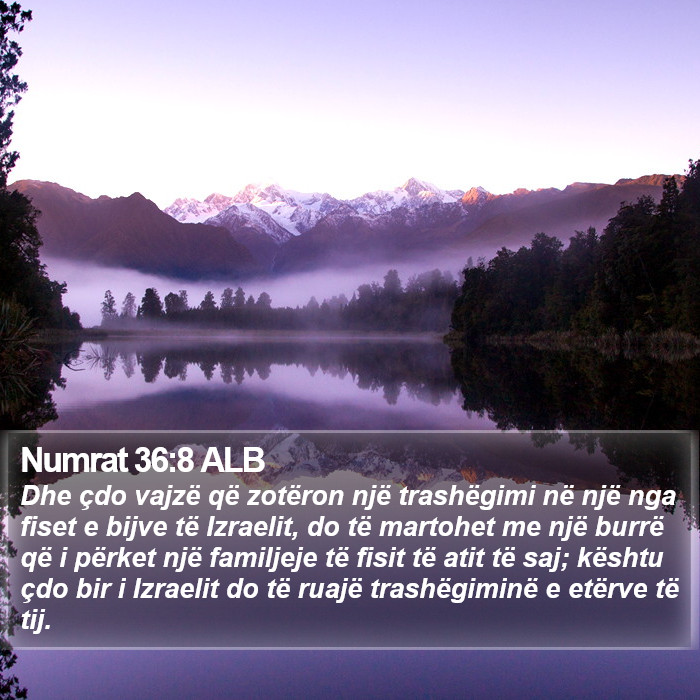Numrat 36:8 ALB Bible Study