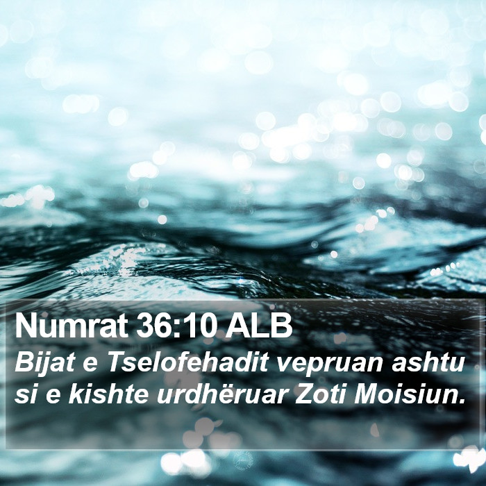 Numrat 36:10 ALB Bible Study