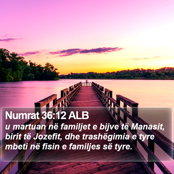 Numrat 36:12 ALB Bible Study
