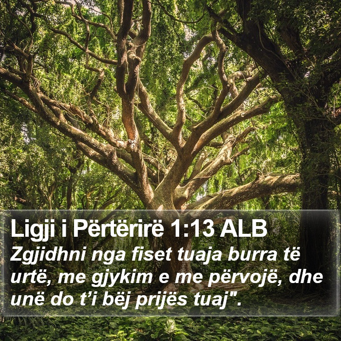 Ligji i Përtërirë 1:13 ALB Bible Study