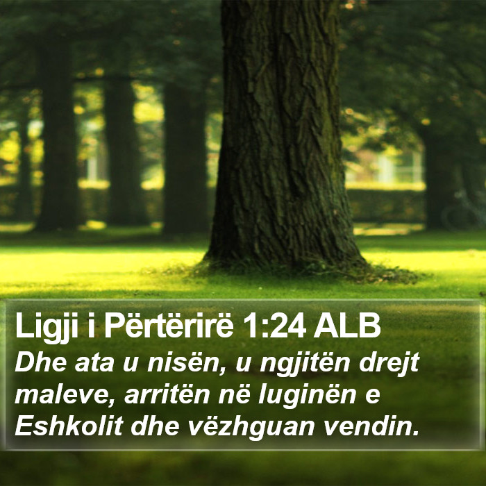 Ligji i Përtërirë 1:24 ALB Bible Study