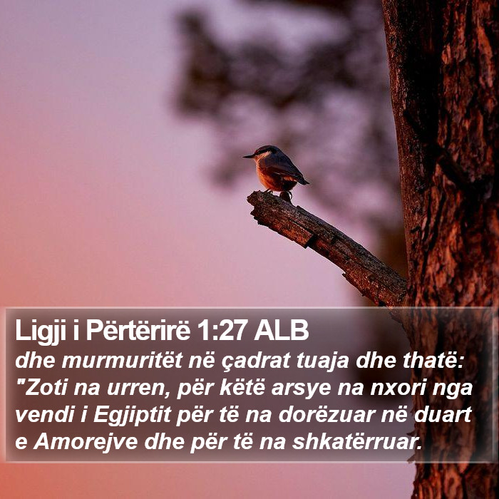 Ligji i Përtërirë 1:27 ALB Bible Study