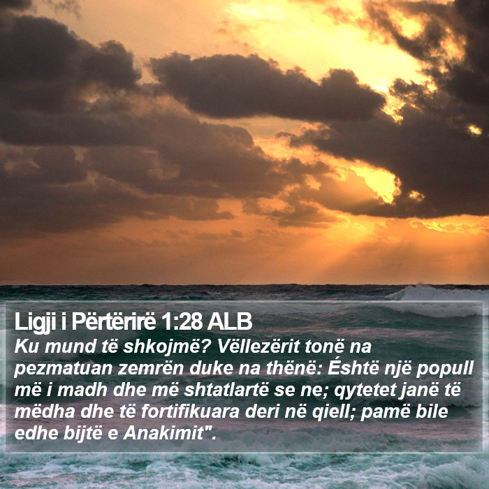 Ligji i Përtërirë 1:28 ALB Bible Study