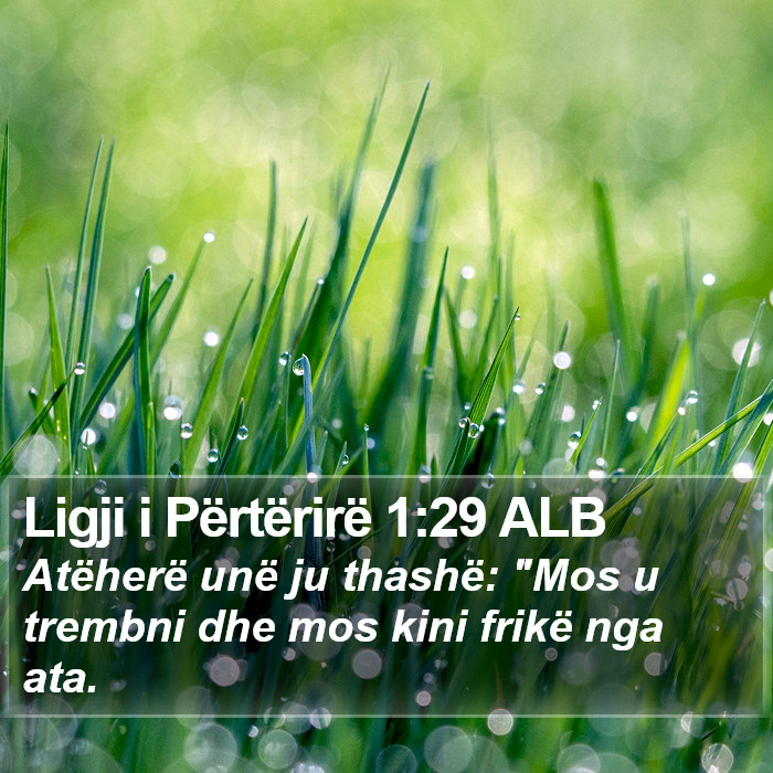 Ligji i Përtërirë 1:29 ALB Bible Study