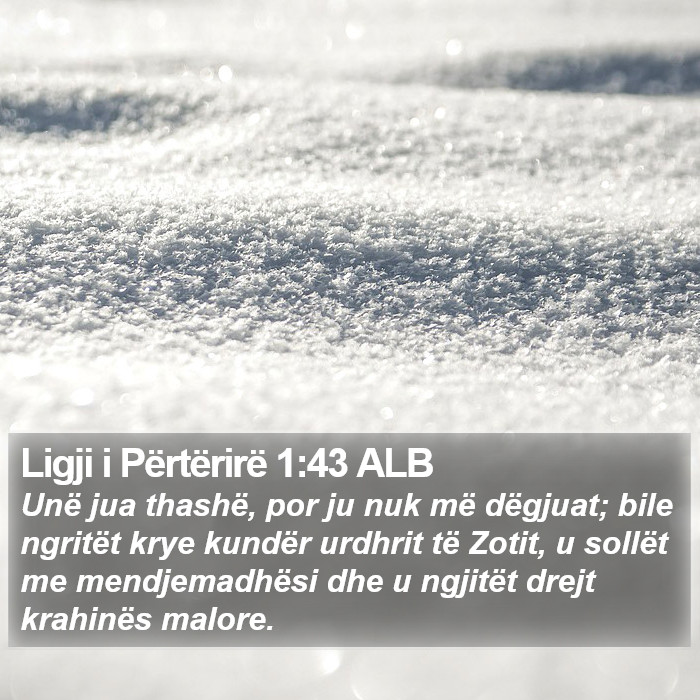 Ligji i Përtërirë 1:43 ALB Bible Study