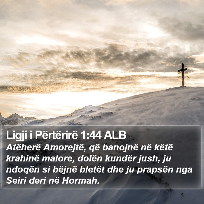 Ligji i Përtërirë 1:44 ALB Bible Study