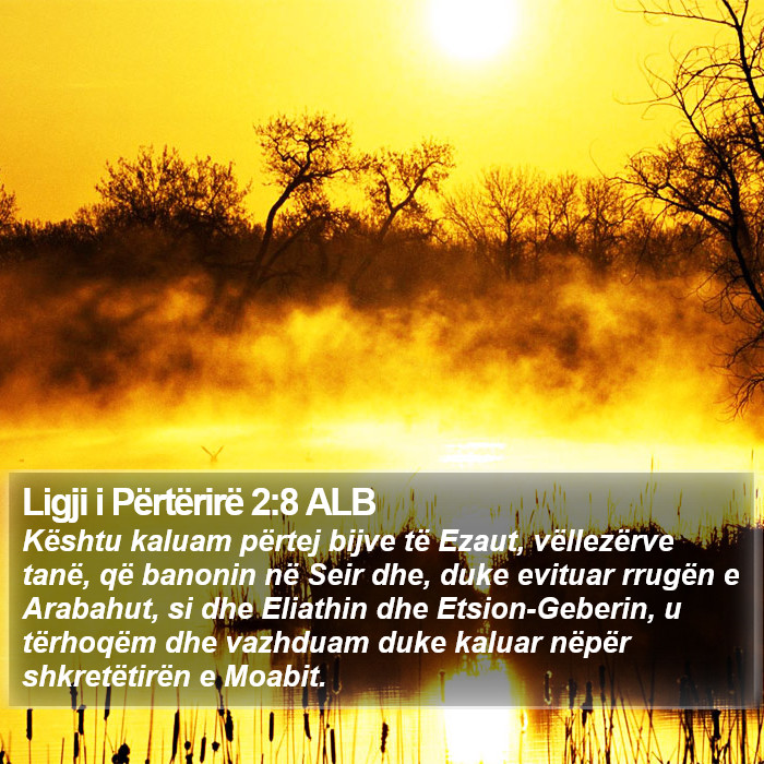 Ligji i Përtërirë 2:8 ALB Bible Study