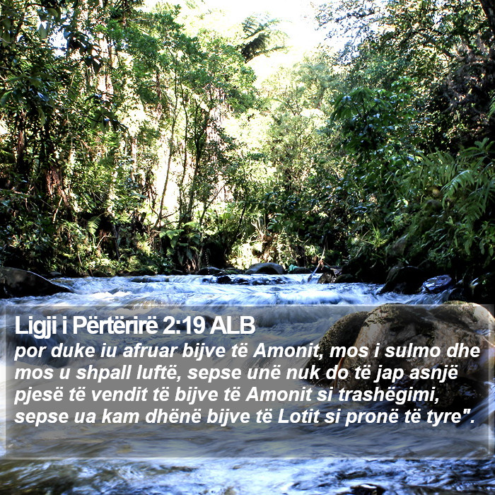 Ligji i Përtërirë 2:19 ALB Bible Study