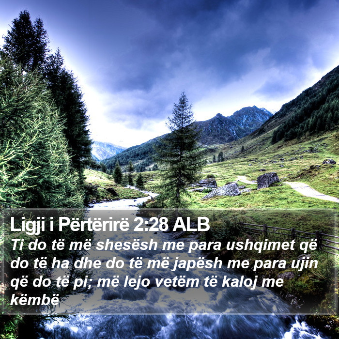 Ligji i Përtërirë 2:28 ALB Bible Study