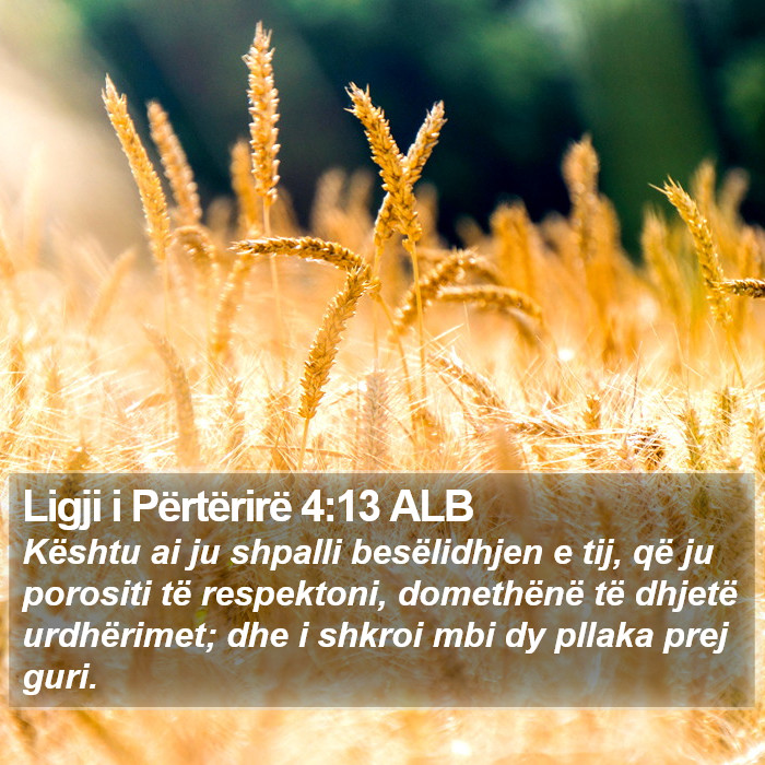 Ligji i Përtërirë 4:13 ALB Bible Study