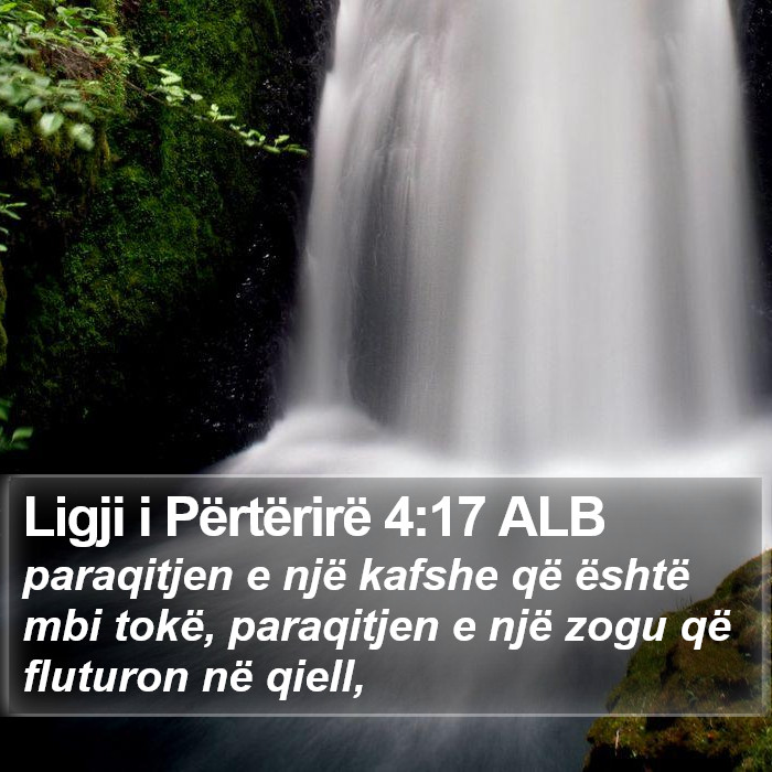 Ligji i Përtërirë 4:17 ALB Bible Study