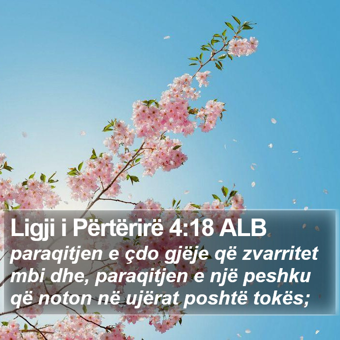 Ligji i Përtërirë 4:18 ALB Bible Study