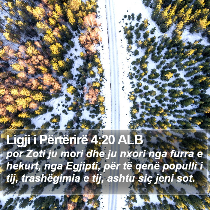 Ligji i Përtërirë 4:20 ALB Bible Study