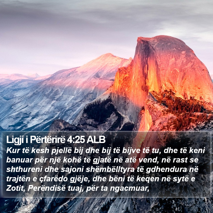 Ligji i Përtërirë 4:25 ALB Bible Study