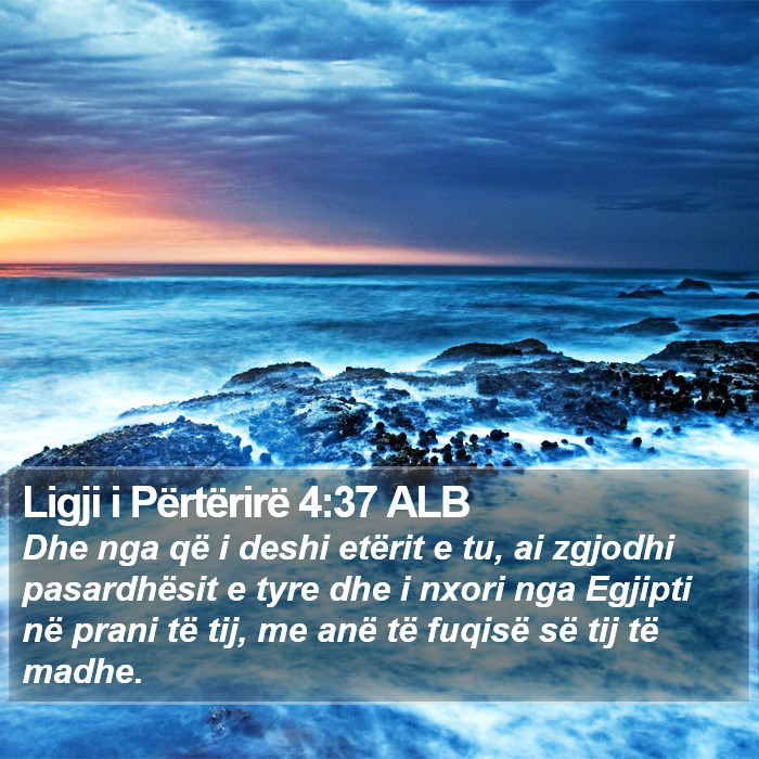 Ligji i Përtërirë 4:37 ALB Bible Study