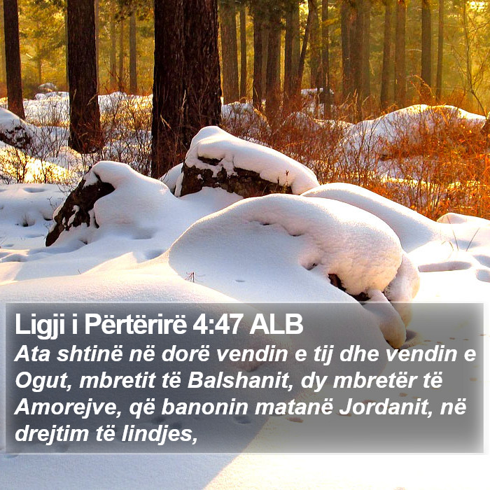 Ligji i Përtërirë 4:47 ALB Bible Study