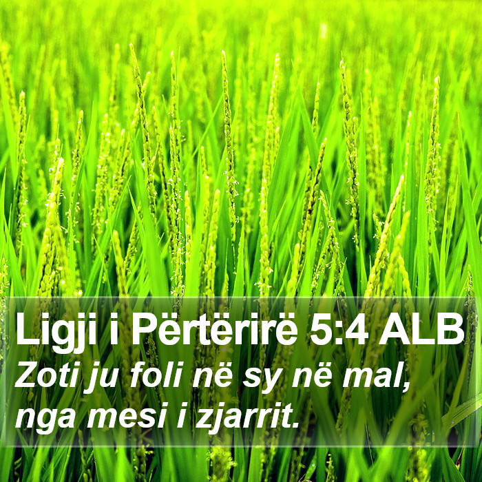 Ligji i Përtërirë 5:4 ALB Bible Study