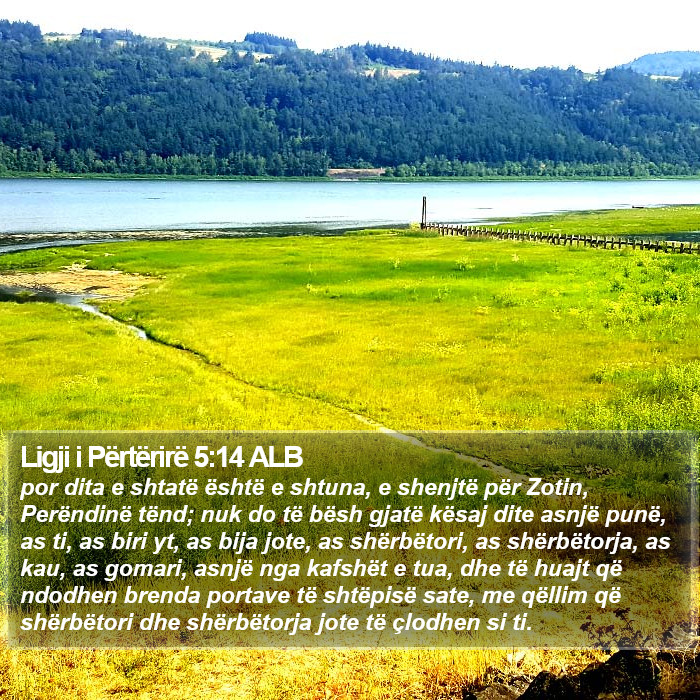 Ligji i Përtërirë 5:14 ALB Bible Study