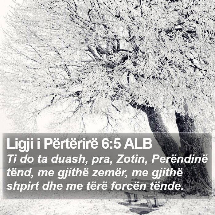 Ligji i Përtërirë 6:5 ALB Bible Study