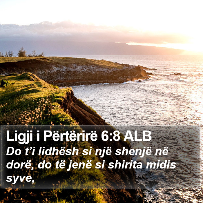 Ligji i Përtërirë 6:8 ALB Bible Study