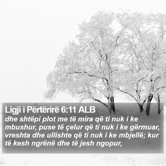 Ligji i Përtërirë 6:11 ALB Bible Study