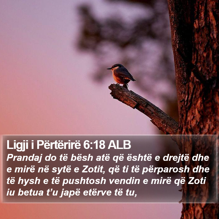 Ligji i Përtërirë 6:18 ALB Bible Study