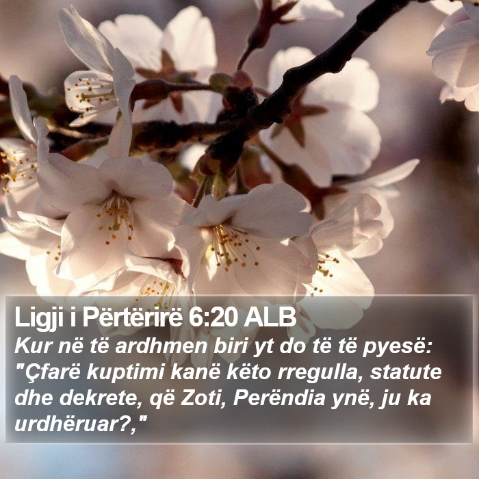 Ligji i Përtërirë 6:20 ALB Bible Study