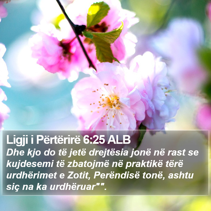 Ligji i Përtërirë 6:25 ALB Bible Study