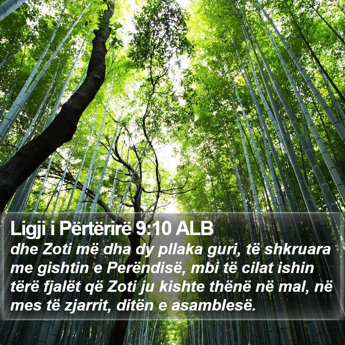 Ligji i Përtërirë 9:10 ALB Bible Study