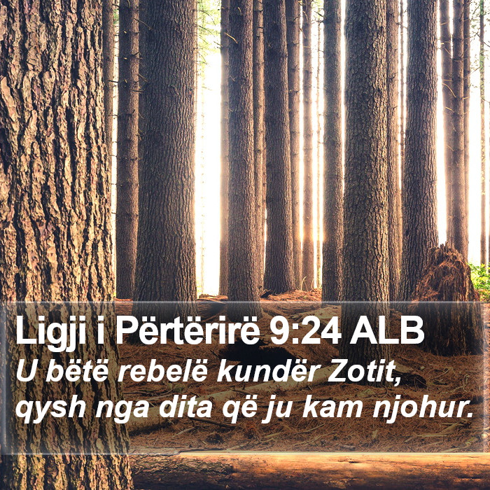 Ligji i Përtërirë 9:24 ALB Bible Study
