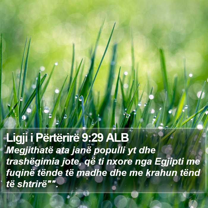 Ligji i Përtërirë 9:29 ALB Bible Study