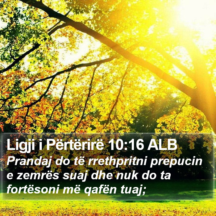 Ligji i Përtërirë 10:16 ALB Bible Study