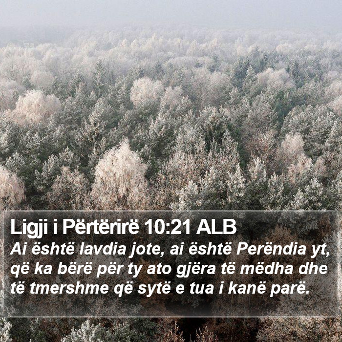 Ligji i Përtërirë 10:21 ALB Bible Study