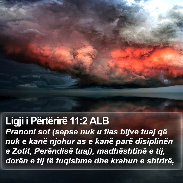 Ligji i Përtërirë 11:2 ALB Bible Study