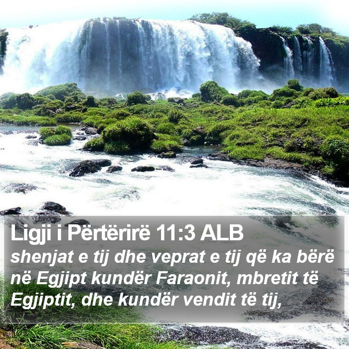 Ligji i Përtërirë 11:3 ALB Bible Study