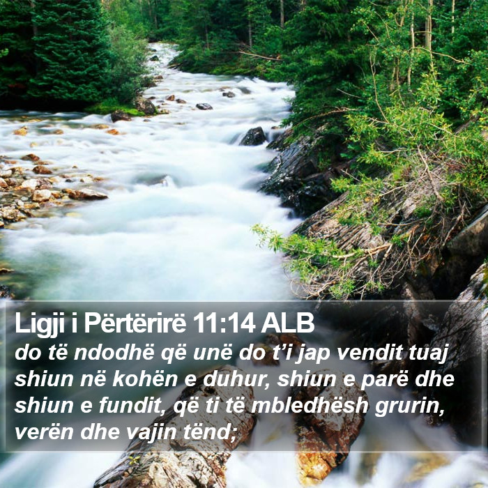 Ligji i Përtërirë 11:14 ALB Bible Study