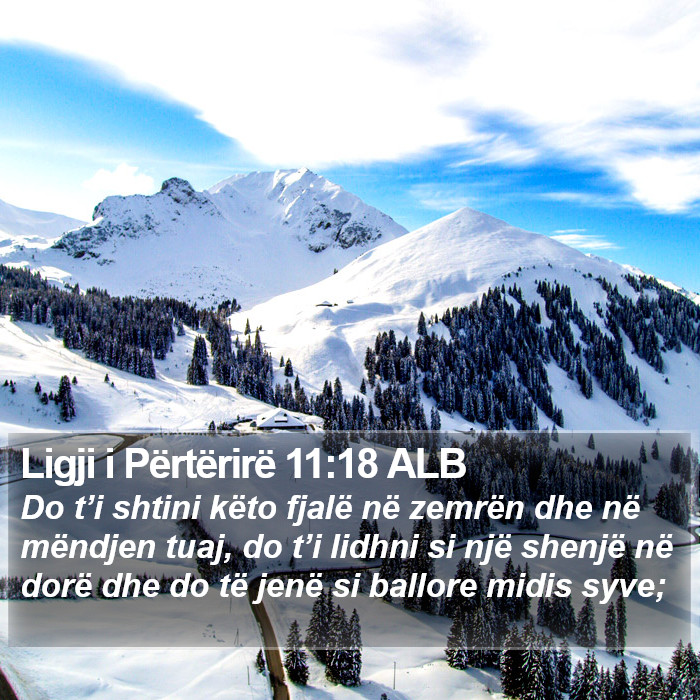 Ligji i Përtërirë 11:18 ALB Bible Study